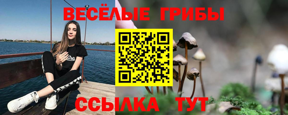 Псилоцибиновые грибы прущие грибы  Вход с VPN  Асбест 